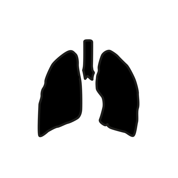 Lungs Icon 113855