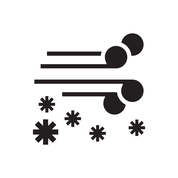 Snow and Wind Icon 13571