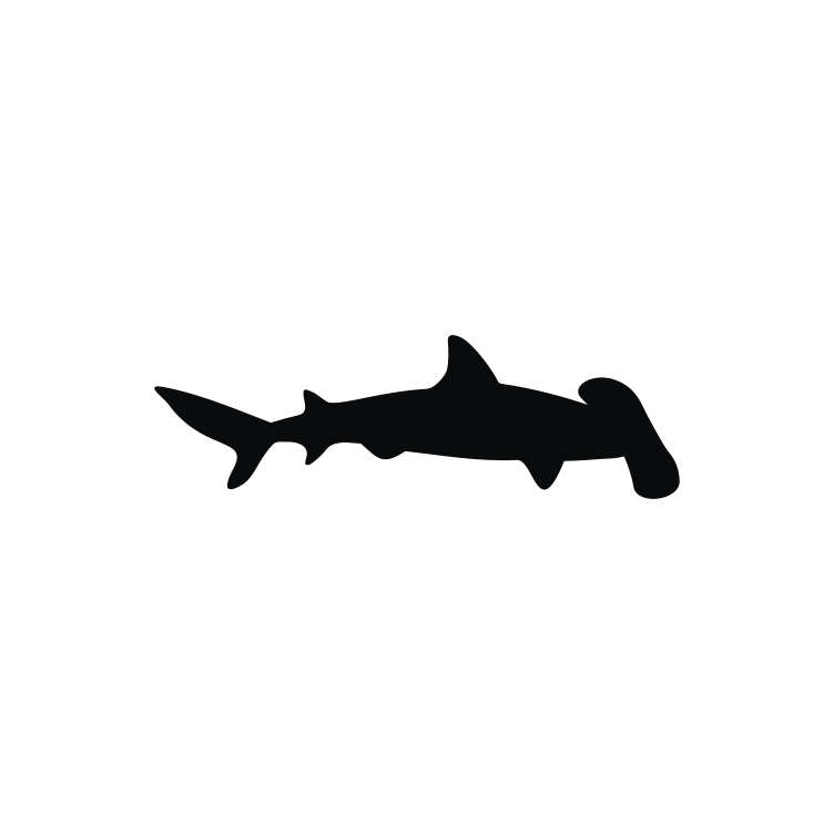 Hammerhead Shark Icon 1495