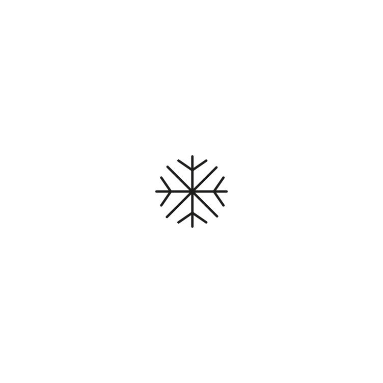 Snowflake Icon 202503